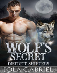 Lola Gabriel [Gabriel, Lola] — Wolf's Secret (District Shifters Book 3)