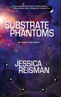 Jessica Reisman — Substrate Phantoms