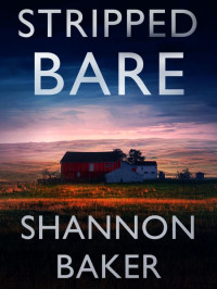Shannon Baker  — Stripped Bare