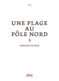 Arnaud Dudek — Une plage au pôle nord