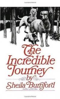 Шейла Барнфорд — The Incredible Journey