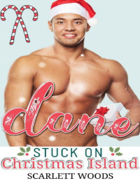 Scarlett Woods — Dane: Stuck on Christmas Island (Stuck Series Book 4)