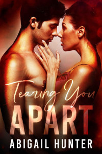 Abigail Hunter — Tearing You Apart: Enemies to Lovers Second Chance Rockstar Romance (Lovers and Liars Book 1)