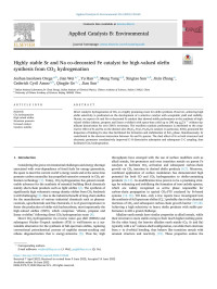 Joshua Iseoluwa Orege — Highly stable Sr and Na co-decorated Fe catalyst for high-valued olefin synthesis from CO2 hydrogenation