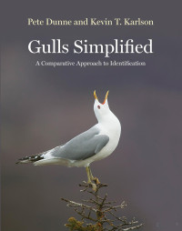 Gulls Simplified- A Comparative Approach to Identification — Gulls Simplified- A Comparative Approach to Identification