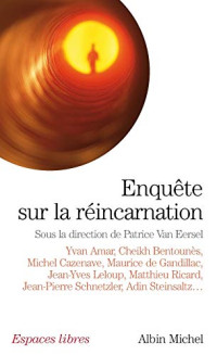 Patrice Van Eersel — Enquête sur la réincarnation