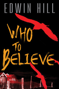 Edwin Hill — Who to Believe: A twisting domestic thriller