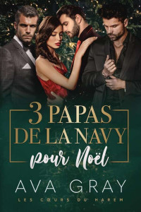 Ava Gray — Les cœurs du harem T1 : 3 papas de la Navy pour Noël