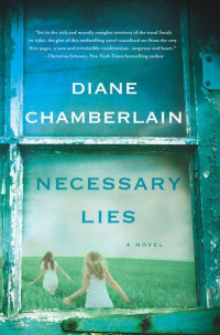 Chamberlain, Diane — Necessary Lies