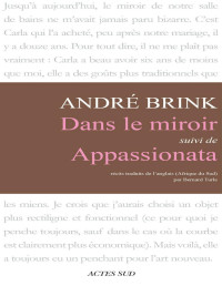 André Brink [Brink, André] — Dans le miroir