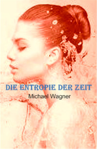 Michael Wagner — Die Entropie der Zeit (German Edition)