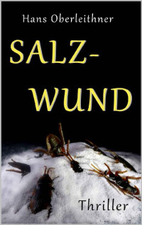 Oberleithner, Hans [Oberleithner, Hans] — SALZWUND: Dystopischer Roman aus der Welt der Wissenschaft (German Edition)