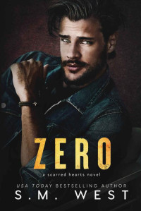 S.M. West — Zero: A protective hero romantic suspense