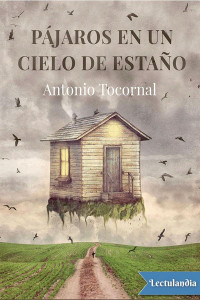 Antonio Tocornal — Pájaros en un cielo de estaño