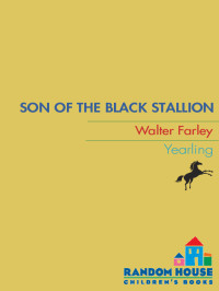 Walter Farley — Son of the Black Stallion