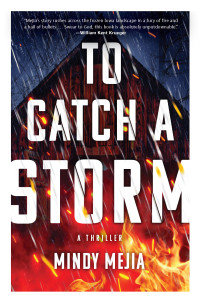 Mindy Mejia — To Catch a Storm: A Novel