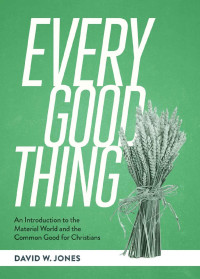David W. Jones [Jones, David W.] — Every Good Thing: An Introduction to the Material World and the Common Good for Christians
