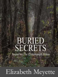 Meyette, Elizabeth — Finger Lakes Mysteries 02-Buried Secrets