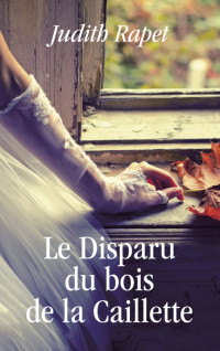 Judith Rapet [Rapet, Judith] — Le disparu du bois de la Caillette