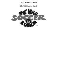 Masannek, Joachim — [The Wild Soccer Bunch 01] • Kevin the Star Striker