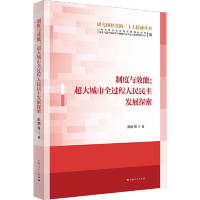 彭勃等著 — 制度与效能:超大城市全过程人民民主发展探索