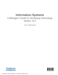 John Gallaugher — Information Systems: A Manager's Guide to Harnessing Technology