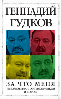 Геннадий Владимирович Гудков — За что меня невзлюбила «партия жуликов и воров»