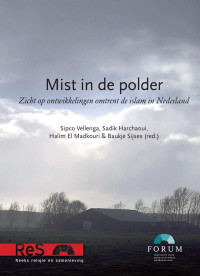 Vellenga, Sipco J. — Mist in de polder