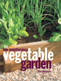 Clare Matthews — The Low Maintenance Vegetable Garden