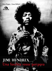 Harry Shapiro;Caesar Glebbeek; — Jimi Hendrix