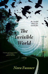 Nora Fussner — The Invisible World