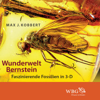 Kobbert, Max J. — Wunderwelt Bernstein: Faszinierende Fossilien in 3-D