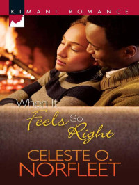 Norfleet, Celeste O. — When It Feels So Right (Kimani Romance)