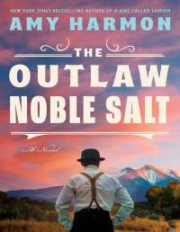 Amy Harmon — The Outlaw Noble Salt: A Novel