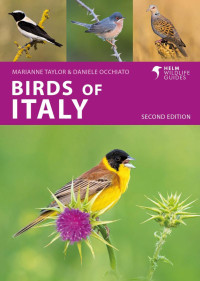 Marianne Taylor — Birds of Italy