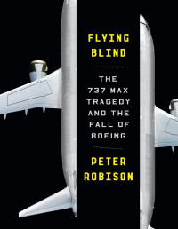 Peter Robison — Flying Blind