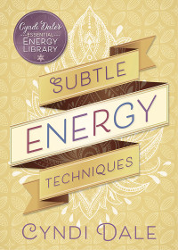 Cyndi Dale — Subtle Energy Techniques