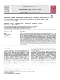 Haitao Ren — Chemically bonded carbon quantum dots/Bi2WO6 S-scheme heterojunction for boosted photocatalytic antibiotic degradation: Interfacial engineering and mechanism insight