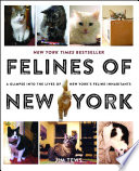 Jim Tews — Felines of New York