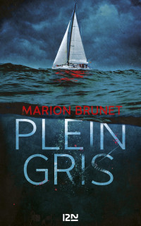 Marion Brunet — Plein gris