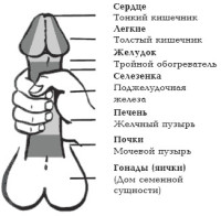 Л. Бинг — Секреты любви. Даосская практика для женщин и мужчин