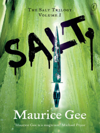 Maurice Gee — Salt
