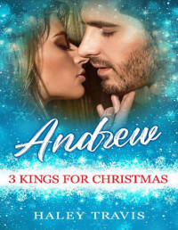 Haley Travis — Andrew: 3 Kings for Christmas: Age Gap Instalove Holiday Romance