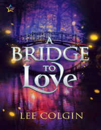 Lee Colgin [Colgin, Lee] — A Bridge to Love