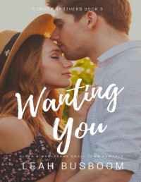 Leah Busboom — Wanting You: A Small Town Romance (Connor Brothers Book 3)