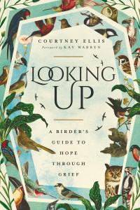 Courtney Ellis; — Looking Up