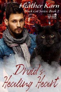 Heather Karn — Druid's Healing Heart (Black Cat Series Book 2)