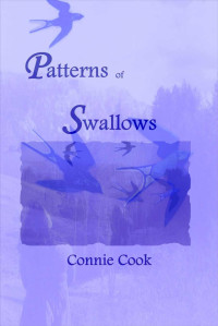 Connie Cook — Patterns of Swallows