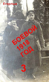 Владислав Николаевич Конюшевский — Боевой 1918 год-3 [СИ]