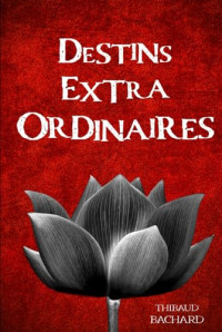 Bachard, Thibaud — Destins extraordinaires (French Edition)